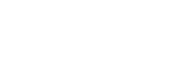 Luiz Vianna Advocacia Especializada